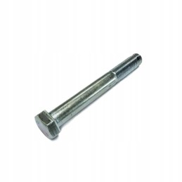 Special screw bizon bizon 5018220200 motogeneri