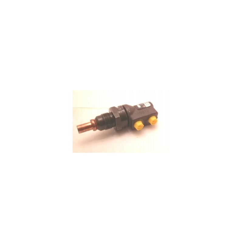 Hydraulic motor 553 1 10015160