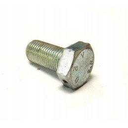 Bison journal retaining plate screw