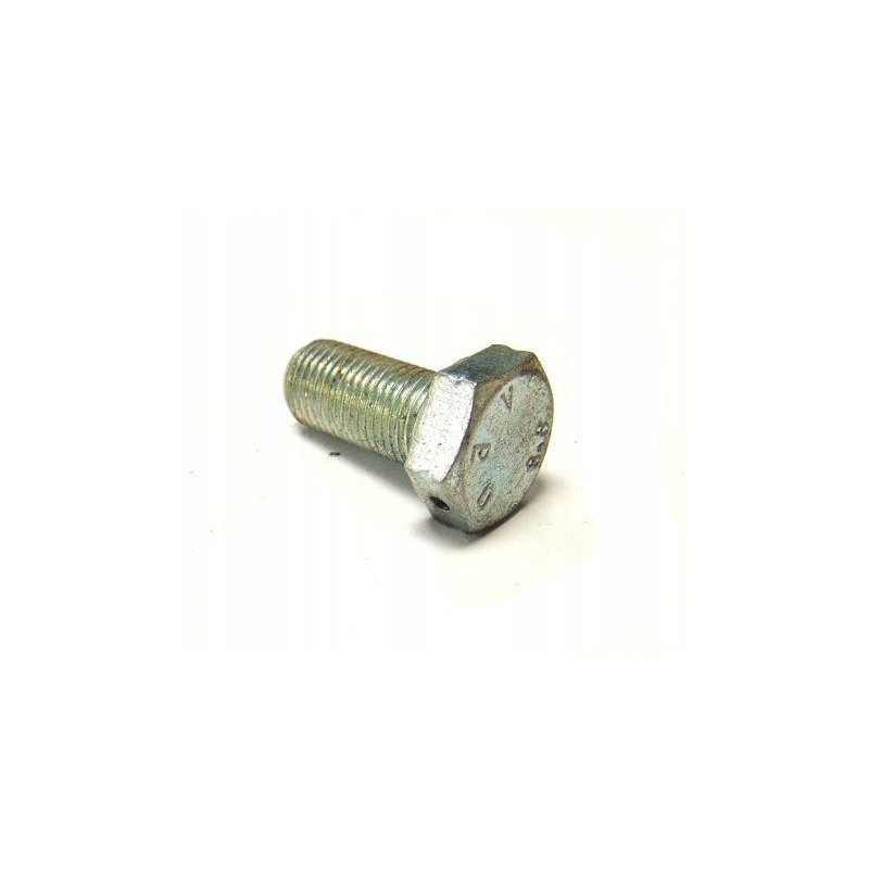 Bison journal retaining plate screw