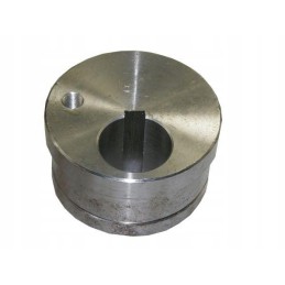 Bison out of the middle