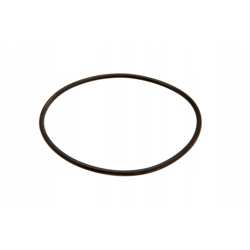 102404809 o-ring 100 19 x 3 53 mm
