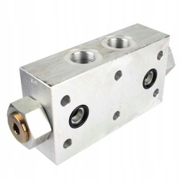 Dual operated check valve 3 4