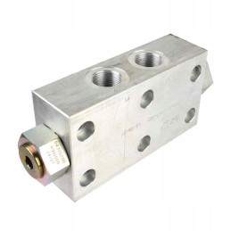 Dual operated check valve 3 4