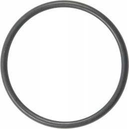 Pierscien 3019922x1 kramp