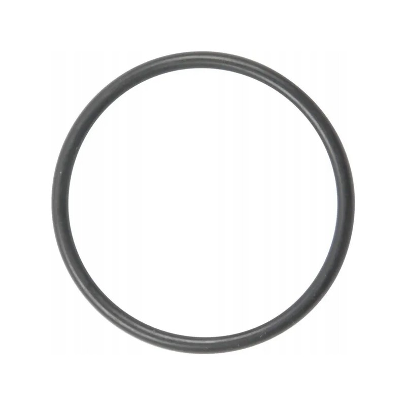 Pierscien 3019922x1 kramp