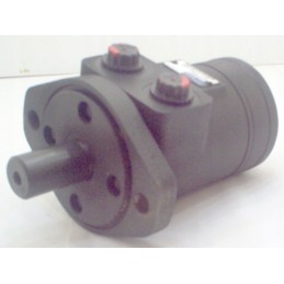 Hydraulic motor 6cm 101 1719