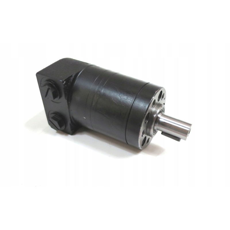 Hydraulic motor 6cm 129 0017