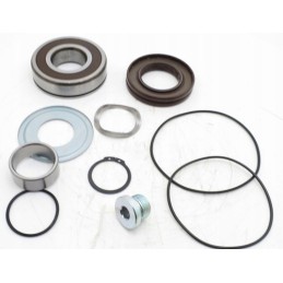 F01 f1 25 101cc rev seal kit