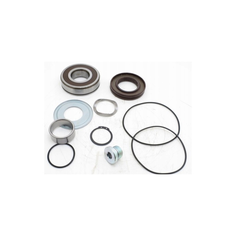 F01 f1 25 101cc rev seal kit