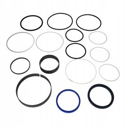 Epsilon q150z96 seal set, main force