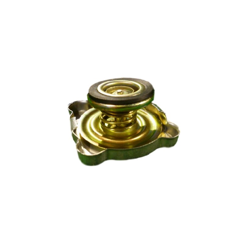 Radiator cap ursus c 330 42310160 84613912