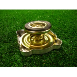 Radiator cap ursus c 330 42310160 84613912