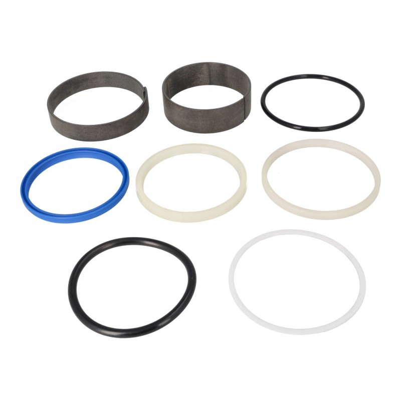 Set of seals epsilon s110 m100 p cylinder