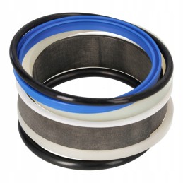 Set of seals epsilon s110 m100 p cylinder