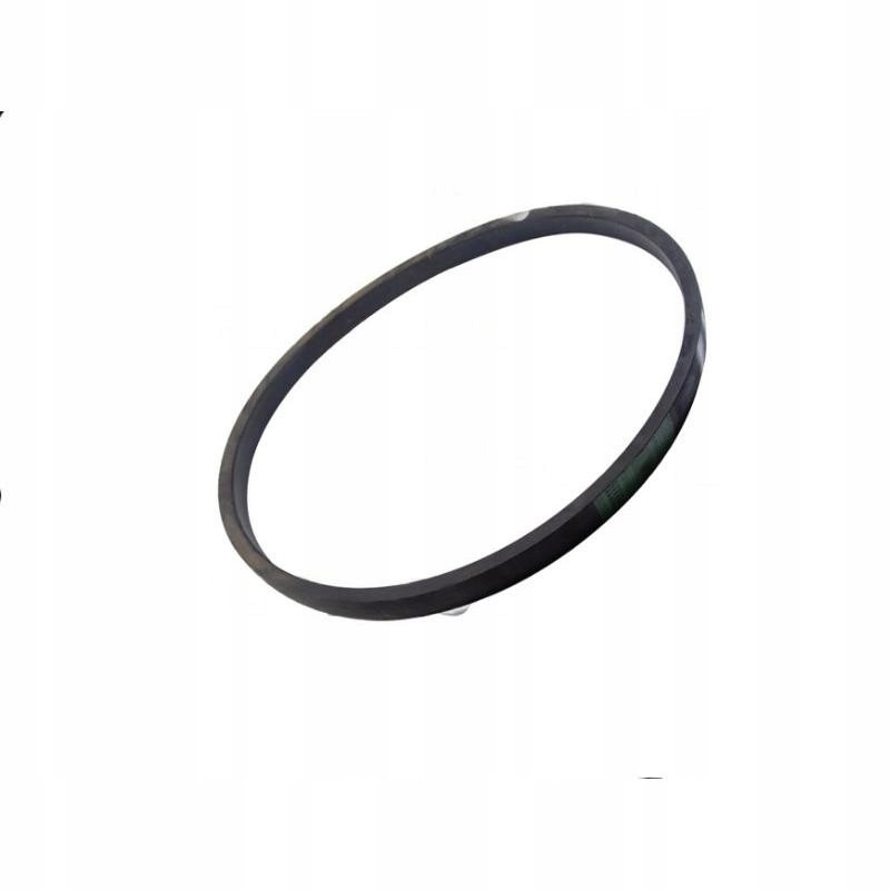 Green standard Bizon H25 1731 V-belt