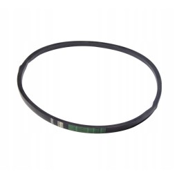 Green standard Bizon H25 1731 V-belt