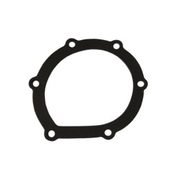 Bizon water pump body gasket pl601218