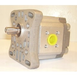 P1ban1004cl20 c01 hydraulic pump