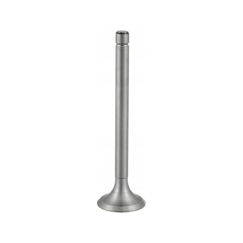 Exhaust valve