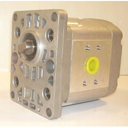 P1ban2015hl40c03 hydraulic pump