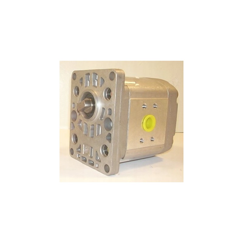 P1ban2015hl40c03 hydraulic pump
