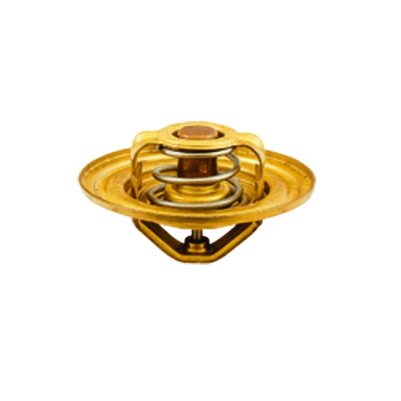 Thermostat bizon z 056 z 058 687tw20 sw 400