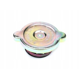 Radiator cap c 360 Polish