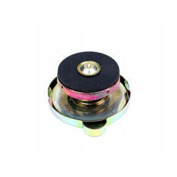Radiator cap c 360 Polish