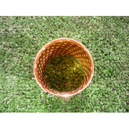 Claas 655143 rear suspension bush