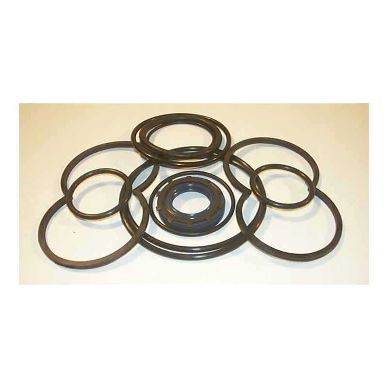 Rexroth 1pf2g2 series 4x sealkit