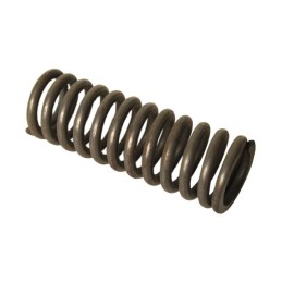 Bizon p5 spring 504003047 length 80mm agtech