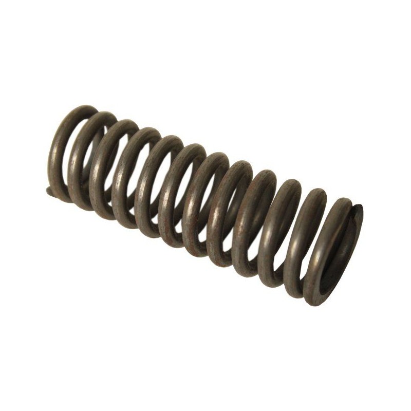 Bizon p5 spring 504003047 length 80mm agtech