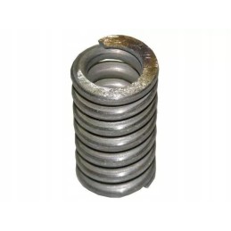 Bison overload clutch spring