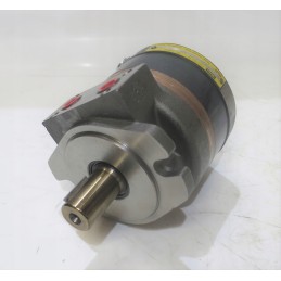 Hydraulic motor 6pm 110a071am0s