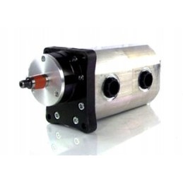 Bison giant double hydraulic pump