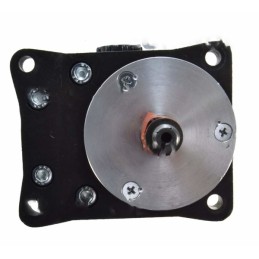 Bison giant double hydraulic pump