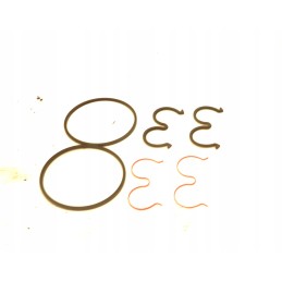 Bosch group 2 seal kit