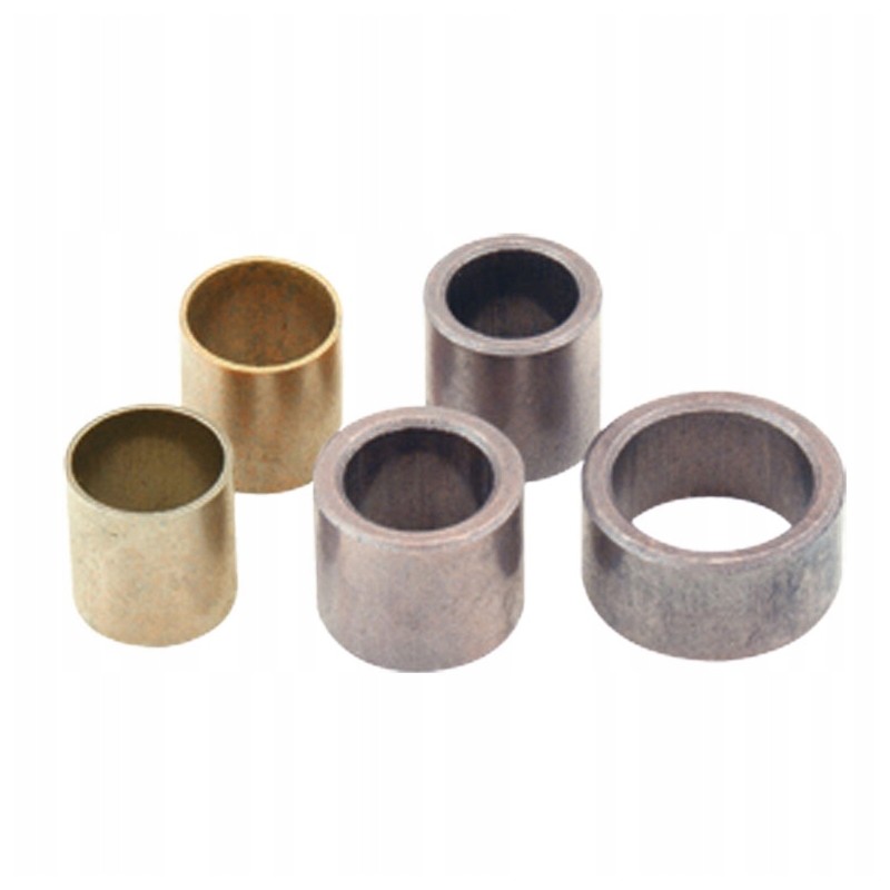 Set of starter bushings r10 bizon