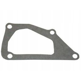 Water pump gasket SW400 Bison