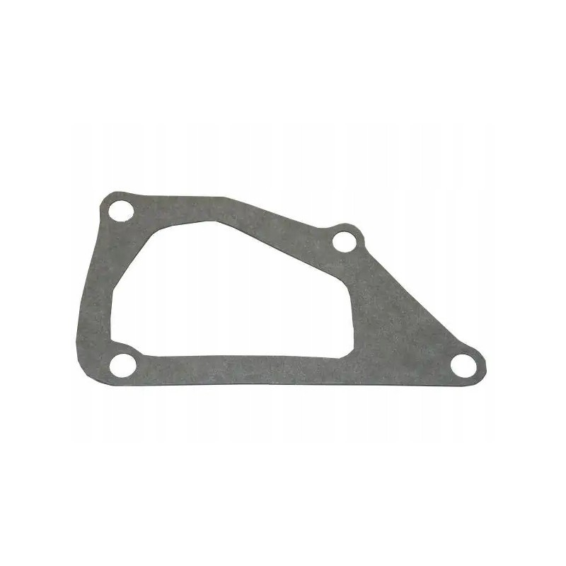 Water pump gasket SW400 Bison