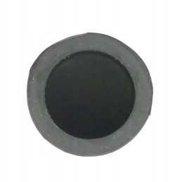 Bizon Ursus Motogener starter button cover