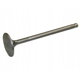 Bison Paradowski exhaust valve
