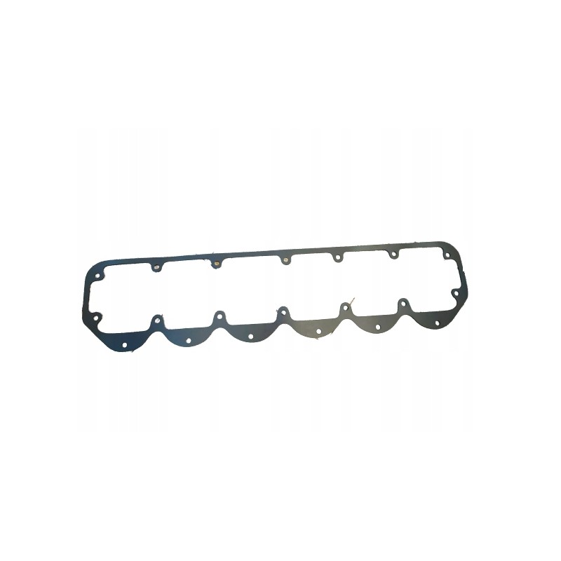 Head gasket bizon pl604964