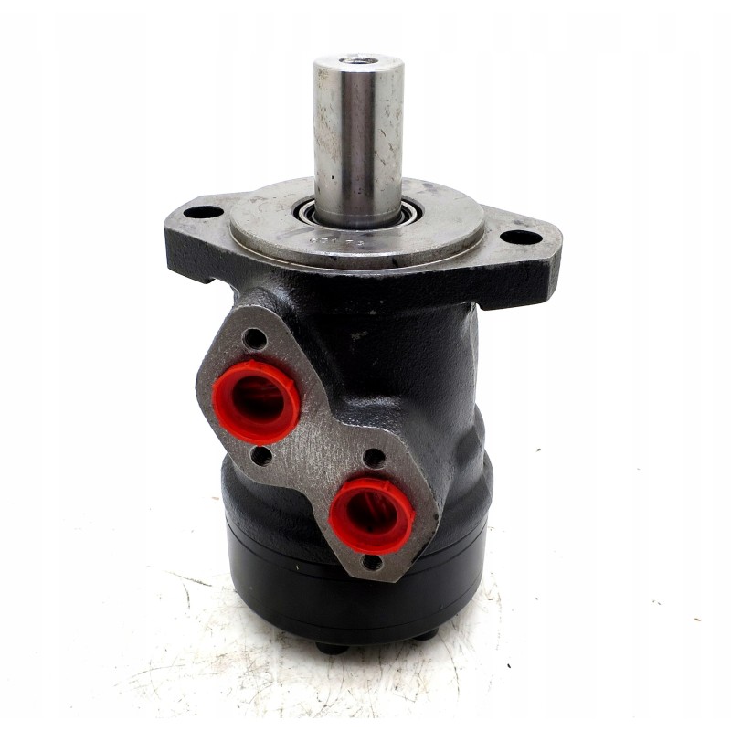 Hydraulic motor wwm125m28