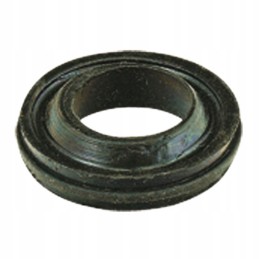 Motorbison accelerator dust scraper