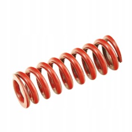 Bizon grain elevator clutch spring