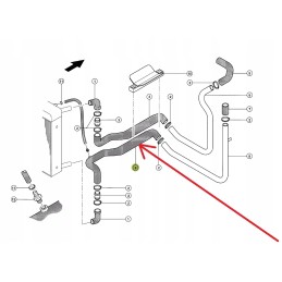310209 0 rubber hose of the cooling system