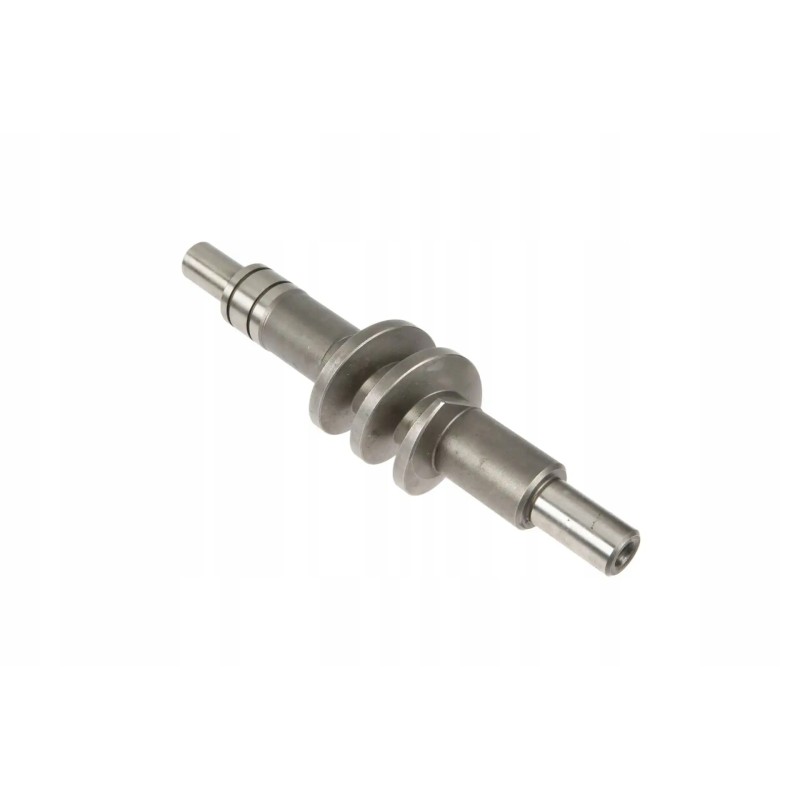 074311 0 turntable snail