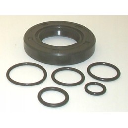 Pvb 5 6 std seal kit 919191n